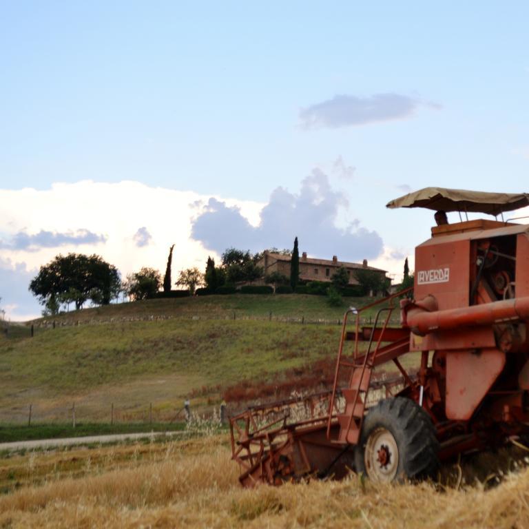 Agriturismo Selvella Allerona Экстерьер фото